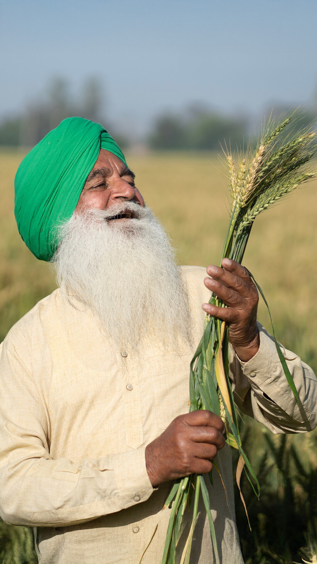 A joyful Sikh farmer admires his wheat harvest, embodying the spirit of gratitude and prosperity during Baisakhi.