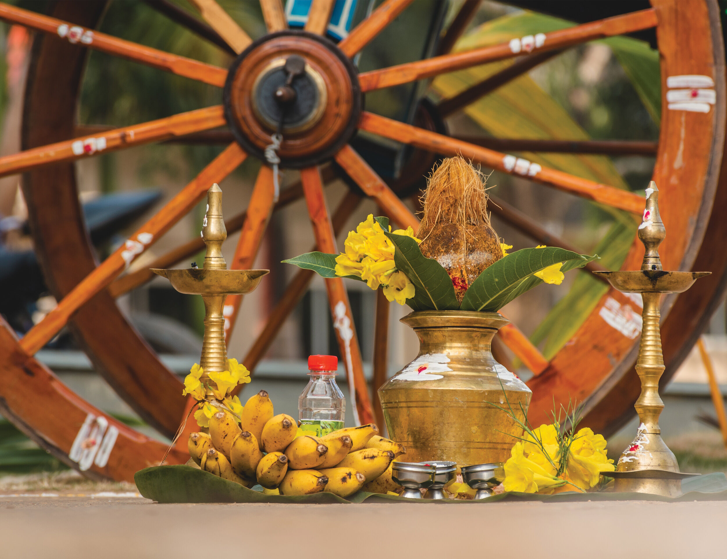 Pongal decor